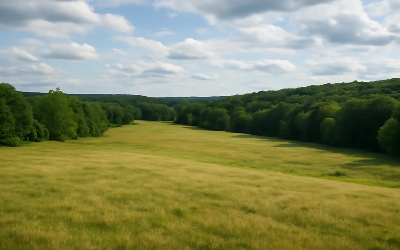 Rural acreage in Bluefield